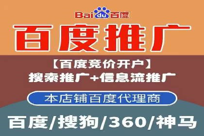 SEM主管实战技巧：案例分享与解读